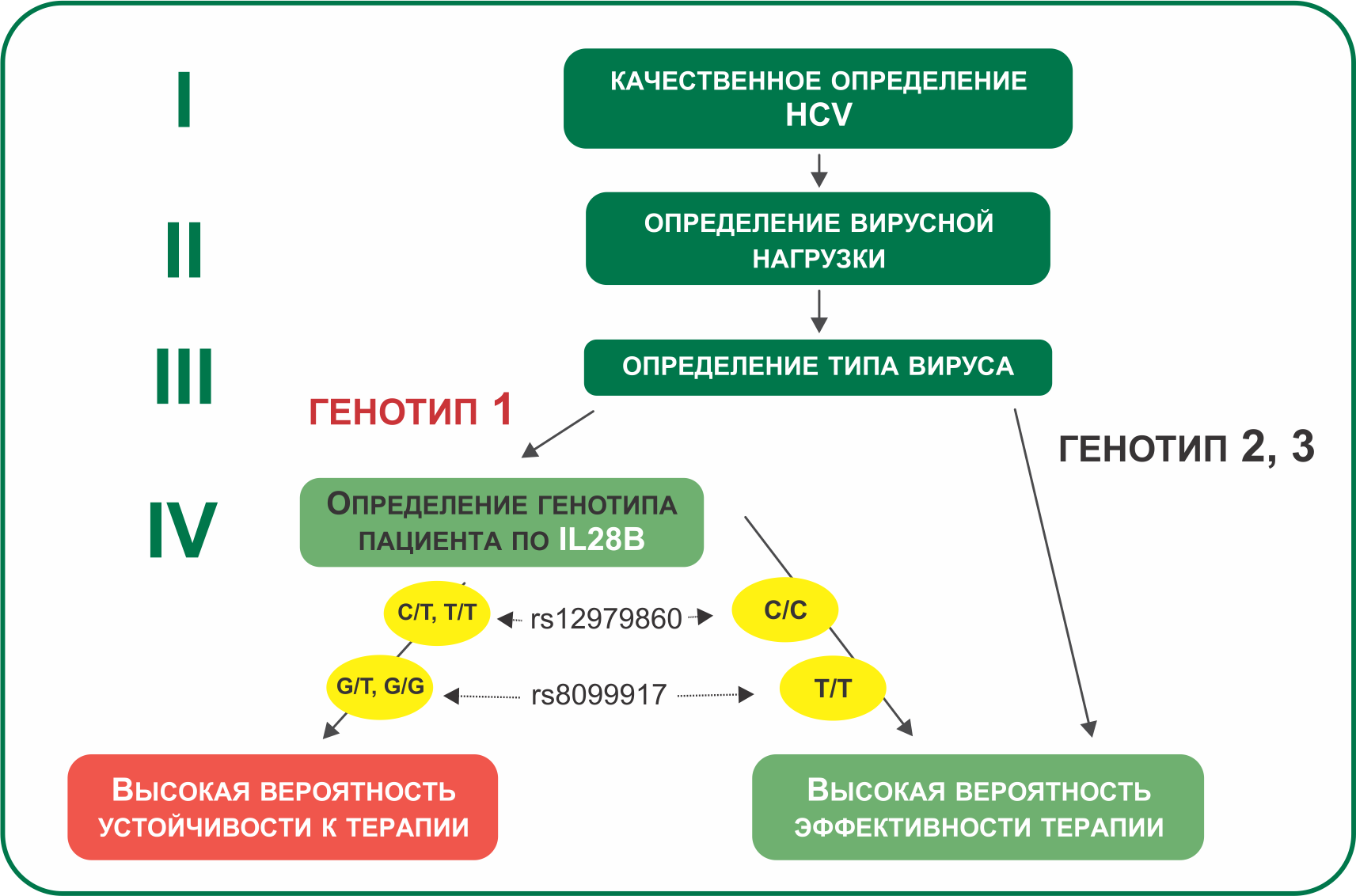 Лечение гепатита с генотипа третей сложности. 